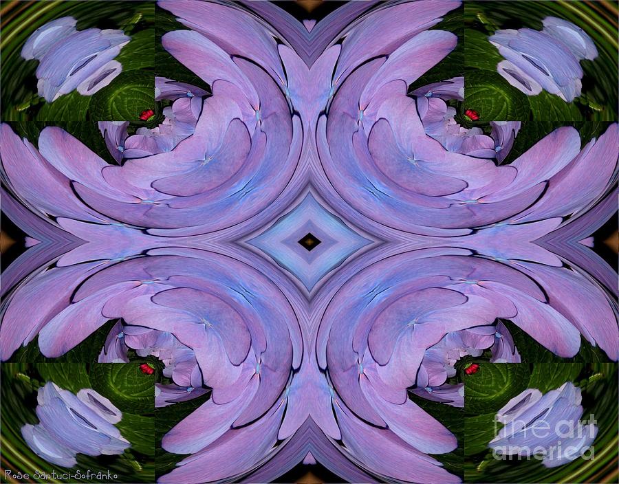 Flower Photograph - Purple Hydrangea Flower Abstract 2 by Rose Santuci-Sofranko