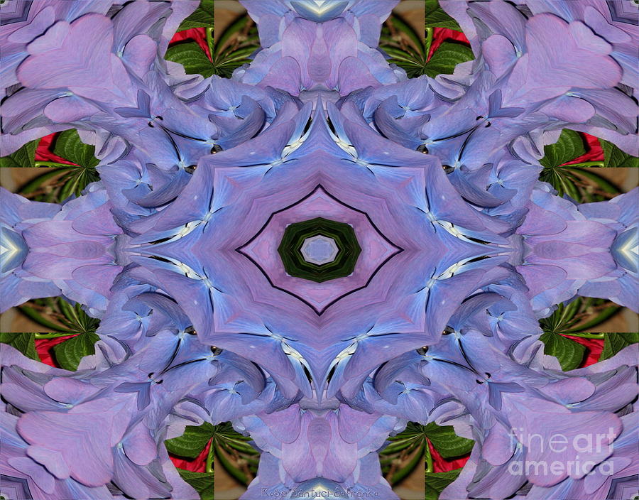 Flower Photograph - Purple Hydrangea Flower Abstract by Rose Santuci-Sofranko