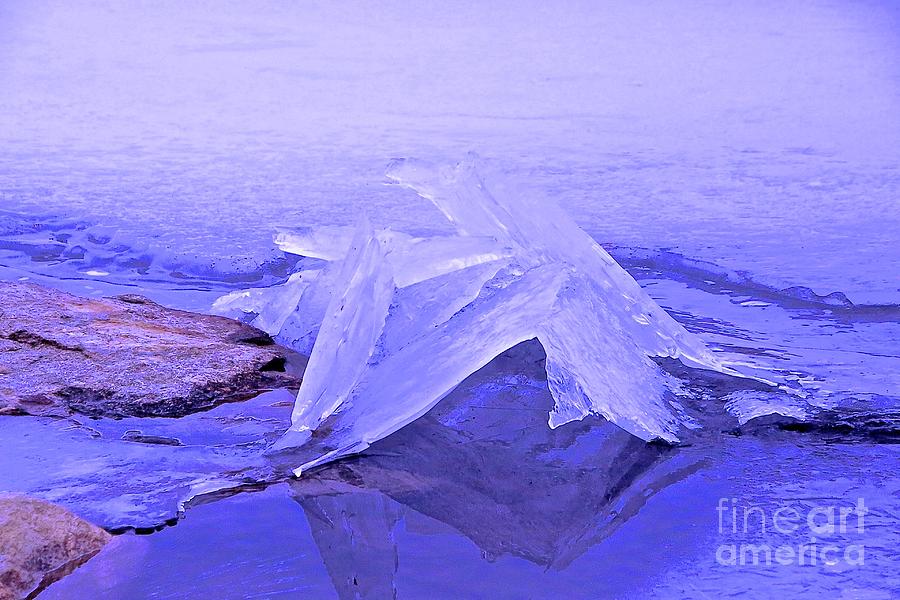 Purple Photograph - Purple Ice by Randi Shenkman