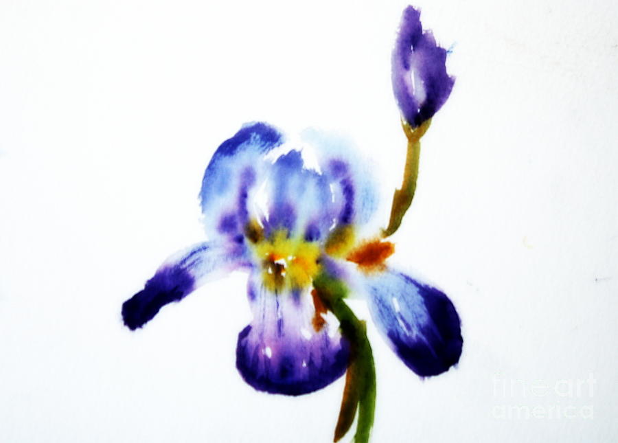 Iris Painting - Purple Iris by Donna Walsh