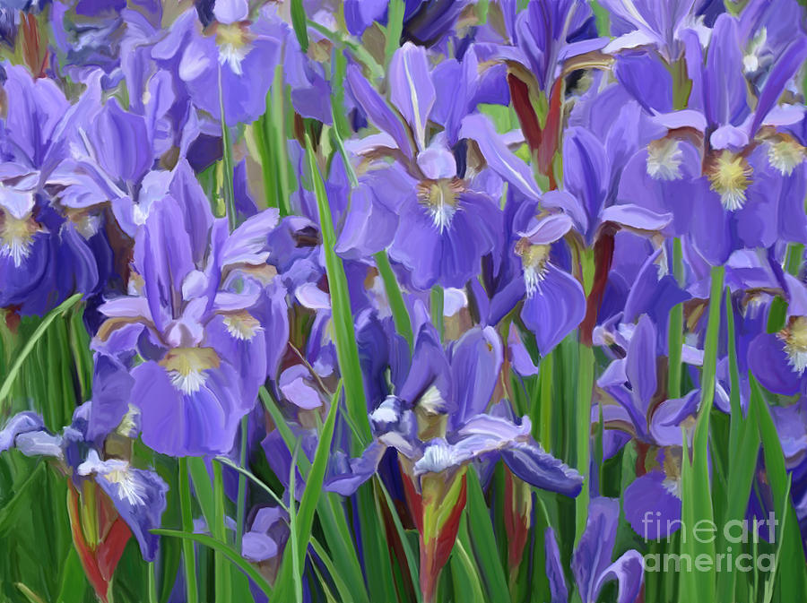 Purple Iris Garden Painting by Tim Gilliland