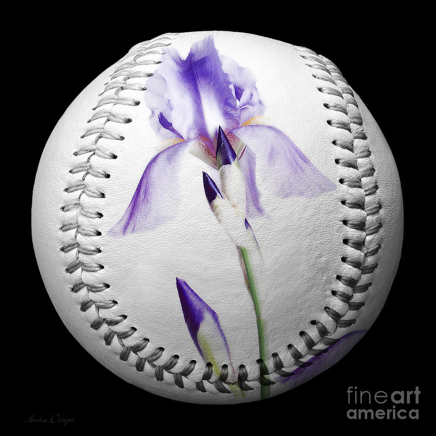 Purple Iris High Key Baseball Square Photograph by Andee Design