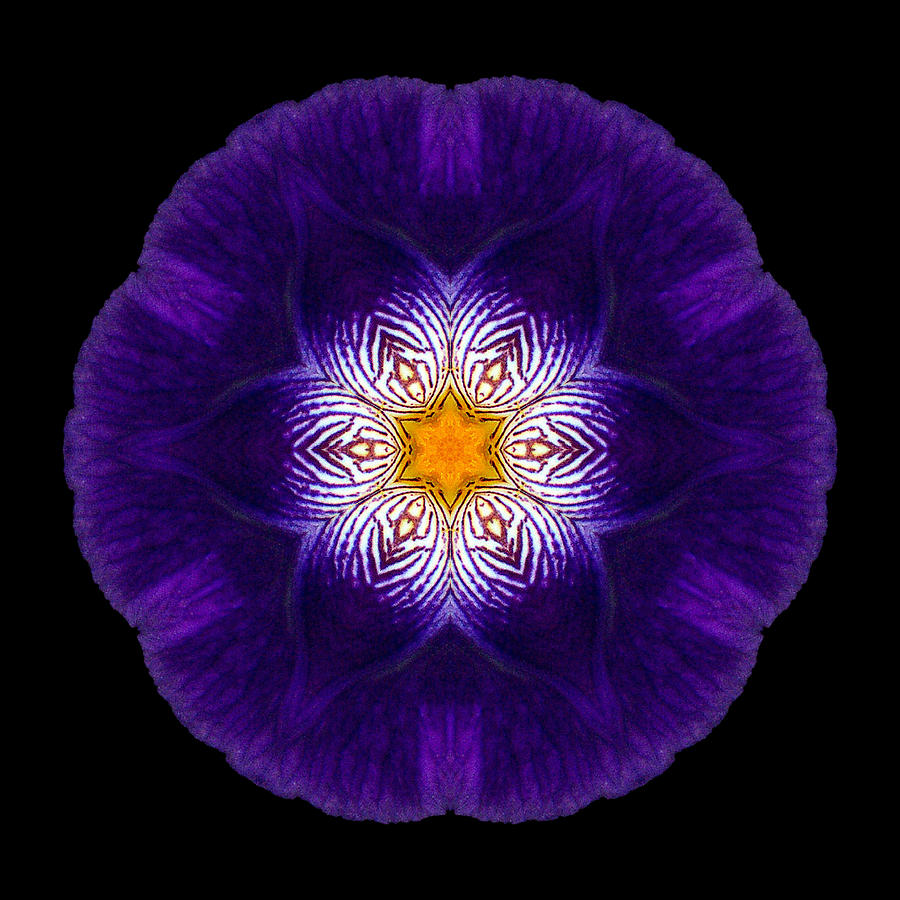 Purple Iris II Flower Mandala Photograph by David J Bookbinder