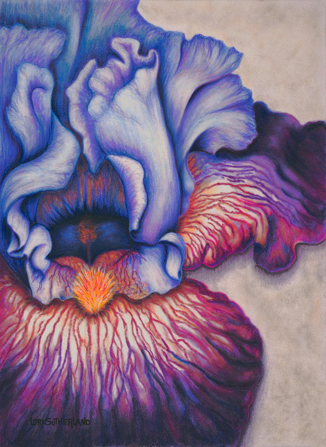 Purple Iris Painting by Lori Sutherland