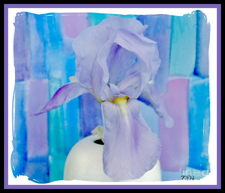 Purple Iris Muted Background Photograph by Marsha Heiken