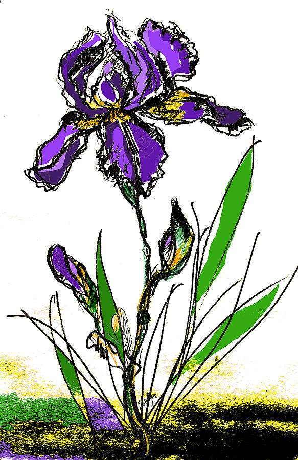 Purple Iris Digital Art by Sladjana Lazarevic