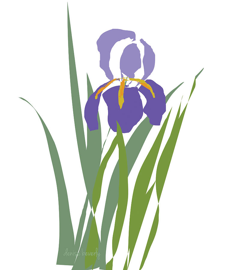 Iris Digital Art - Purple Iris stylized by Denise Beverly