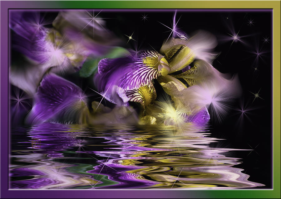 Purple Iris with sparkling reflection Photograph by Peter V Quenter