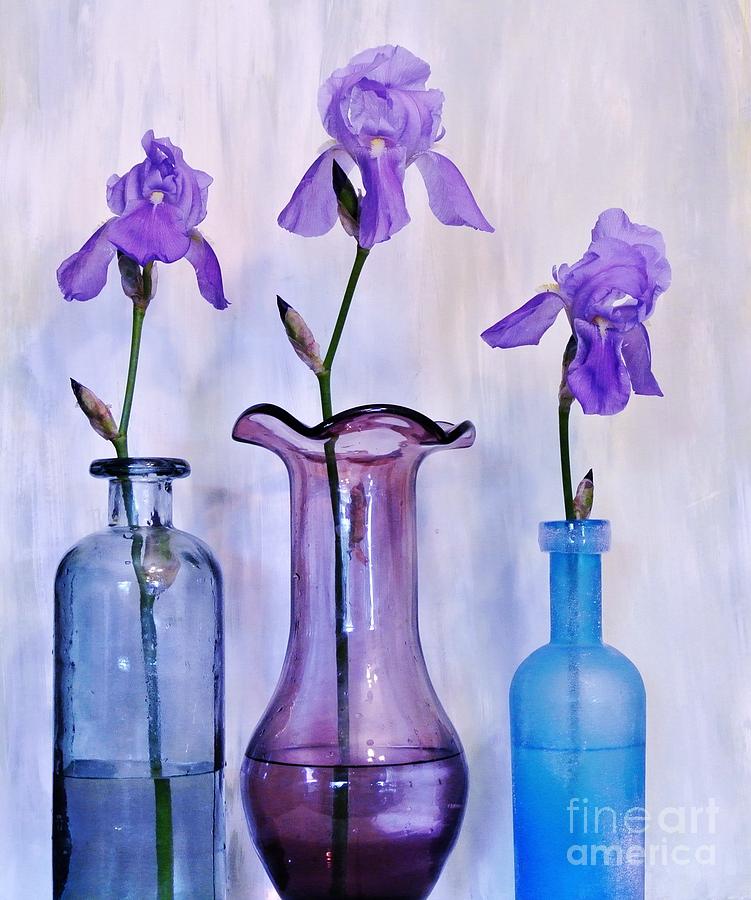 Purple Irises in Vases Photograph by Marsha Heiken