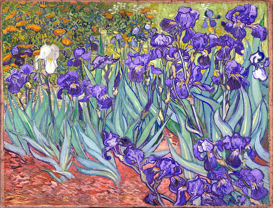 Purple Irises Painting by Vincent Van Gogh
