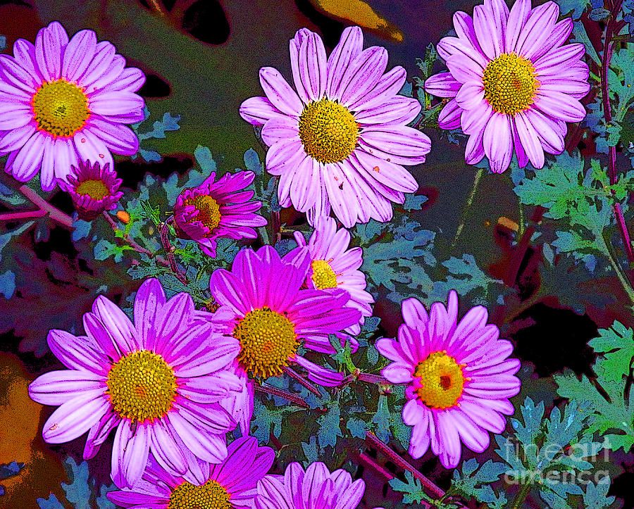 Purple Joy -2 Digital Art by Sylvie Moncion - Pixels