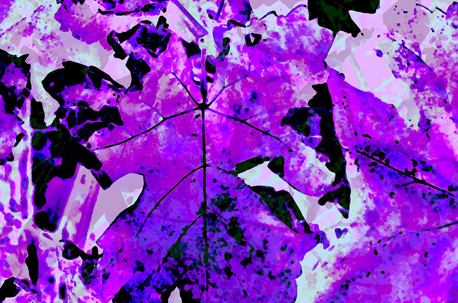 Abstract Photograph - Purple leaves by Betty Boop