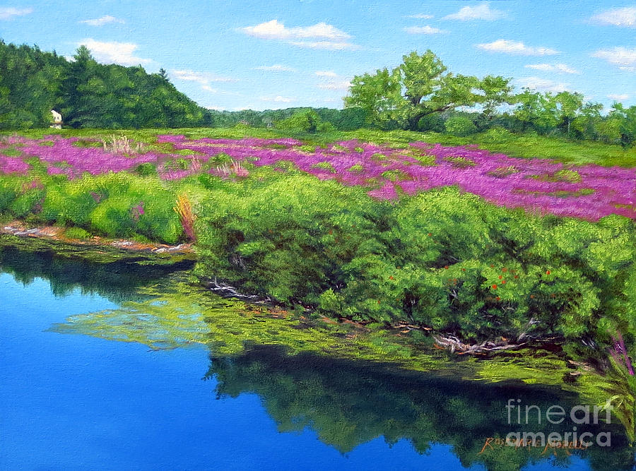 Purple Loosestrife On Charles River Painting by Rosemarie Morelli