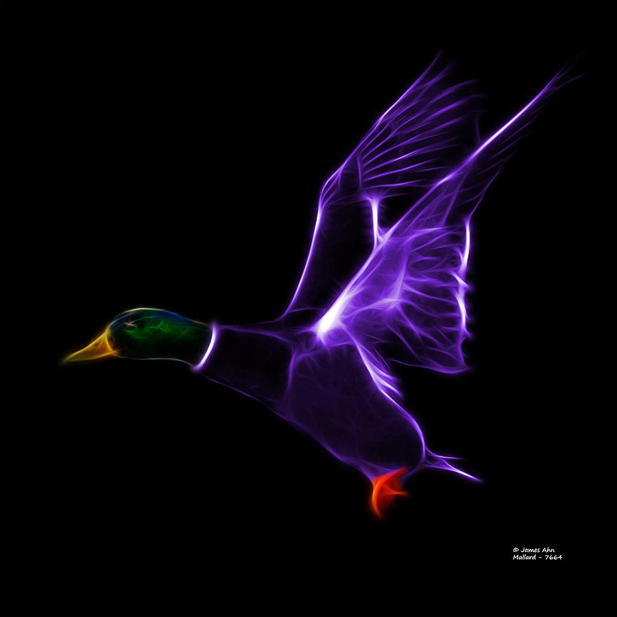 Purple Mallard Pop Art - 7664 - BB Mixed Media by James Ahn
