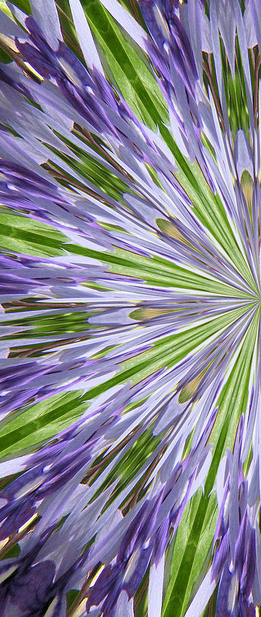 Purple Mandala Wall Art Left Digital Art by Rosalie Scanlon