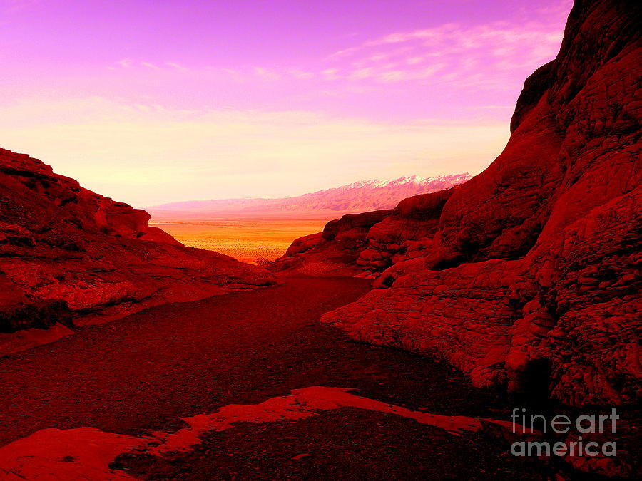 Purple morning in Death valley Photograph by Kumiko Mayer