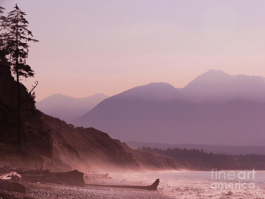 Mountain Photograph - Purple Mountain Majesty ...From Sea To Shining Sea by Terri Thompson