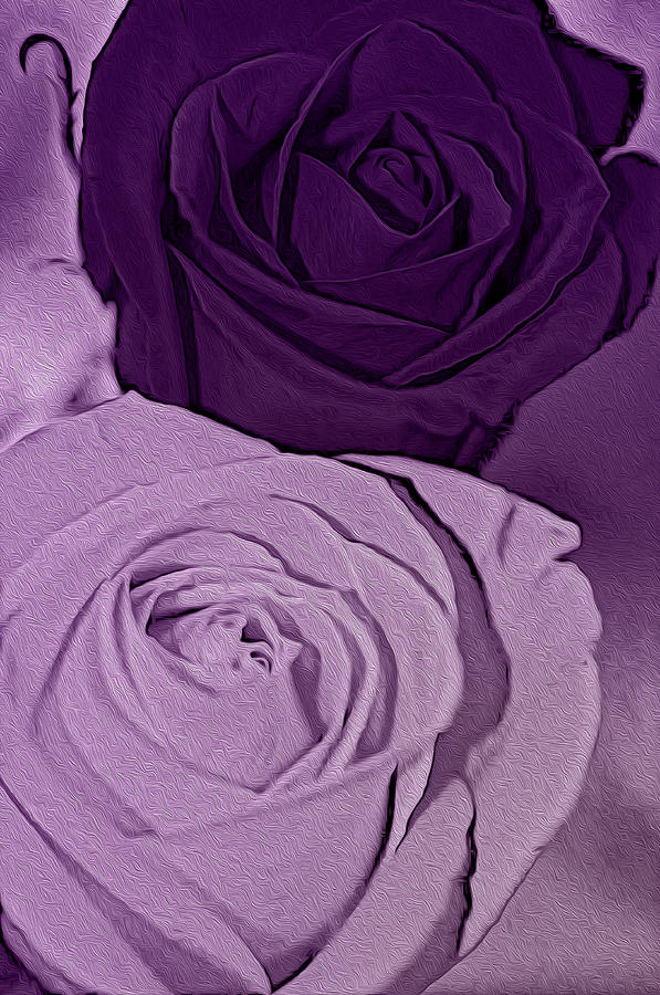 Purple my favorite Digital Art by Teri Schuster