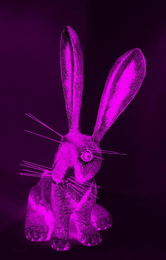 Purple New Mexico Rabbit Photograph by Rob Hans