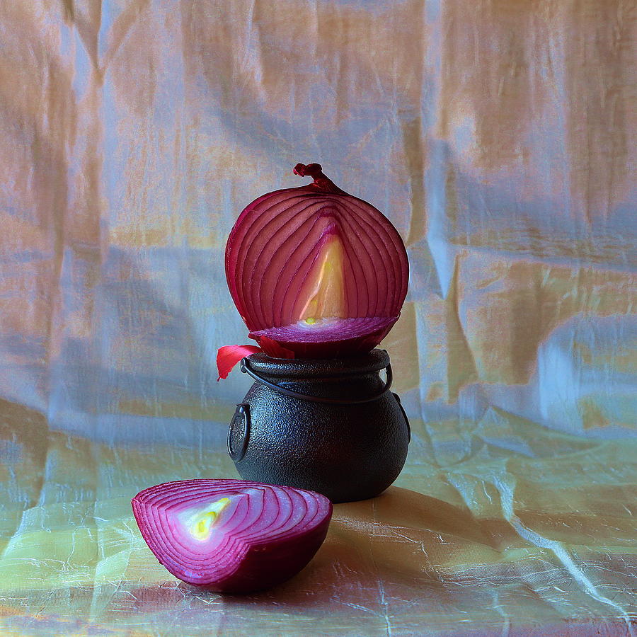 Purple Onion Photograph by Viktor Savchenko
