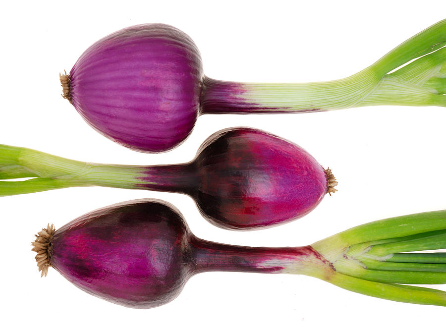 small purple onions