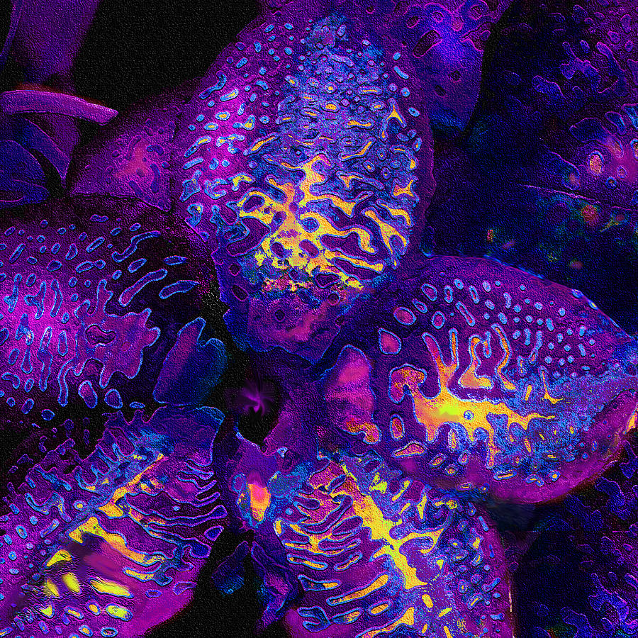 Purple Orchid Abstract Digital Art by Jane Schnetlage
