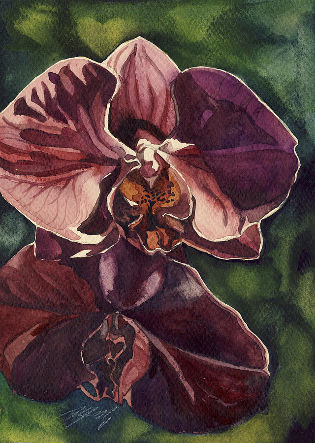 Purple Orchid  Painting by Alfred Ng