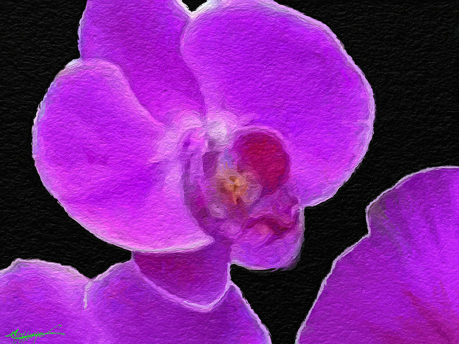 Purple Orchid Digital Art by Anthony Fishburne