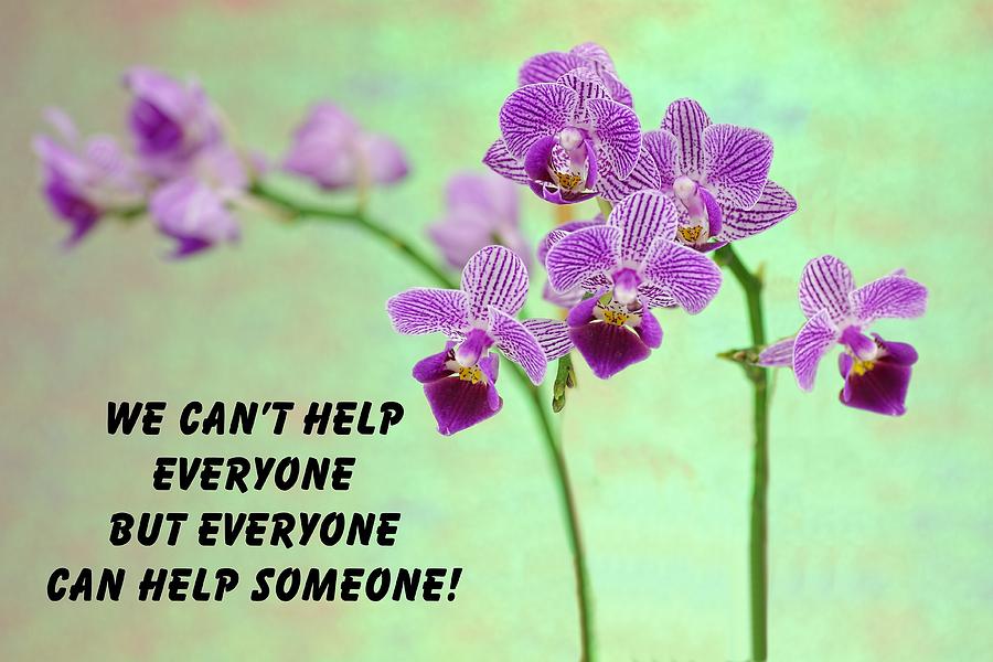 Purple orchid quote-1 Photograph by Rudy Umans