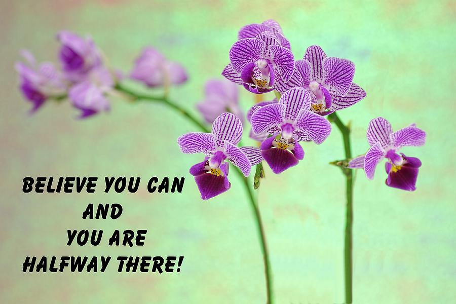 Purple orchid quote-2 Photograph by Rudy Umans