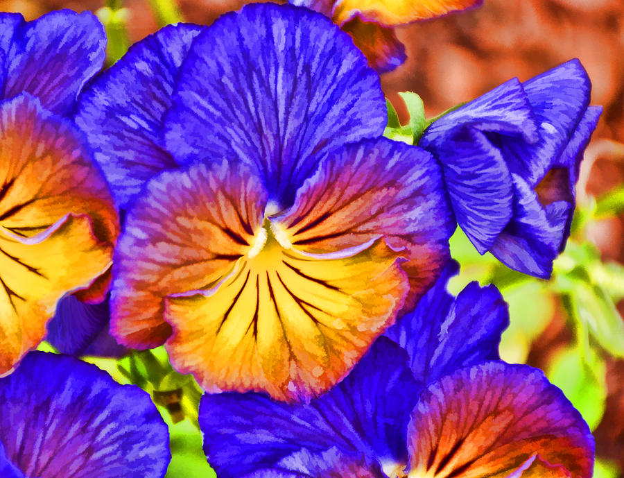 Purple Pansies Stylized Photograph by Jeanne May