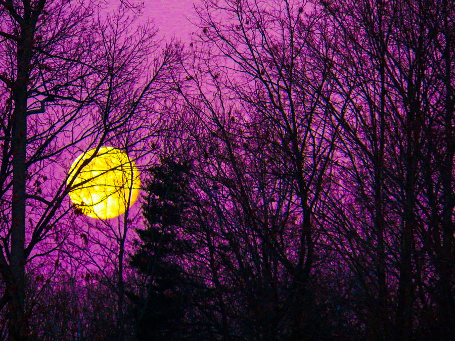 Sunset Photograph - Purple Passion Moon at Sunrise by Kathy Liebrum Bailey