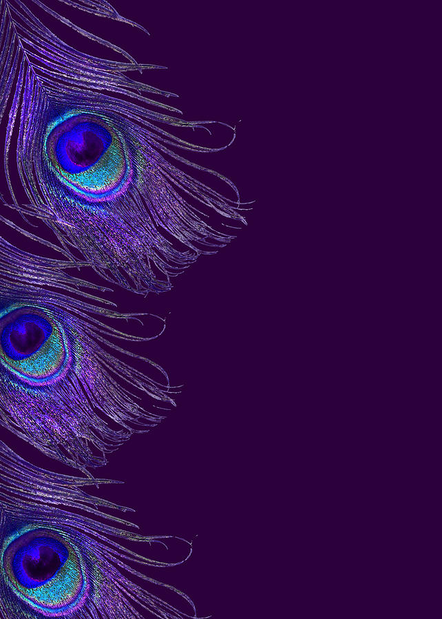 Purple Peacock Phone Case Digital Art by Jane Schnetlage
