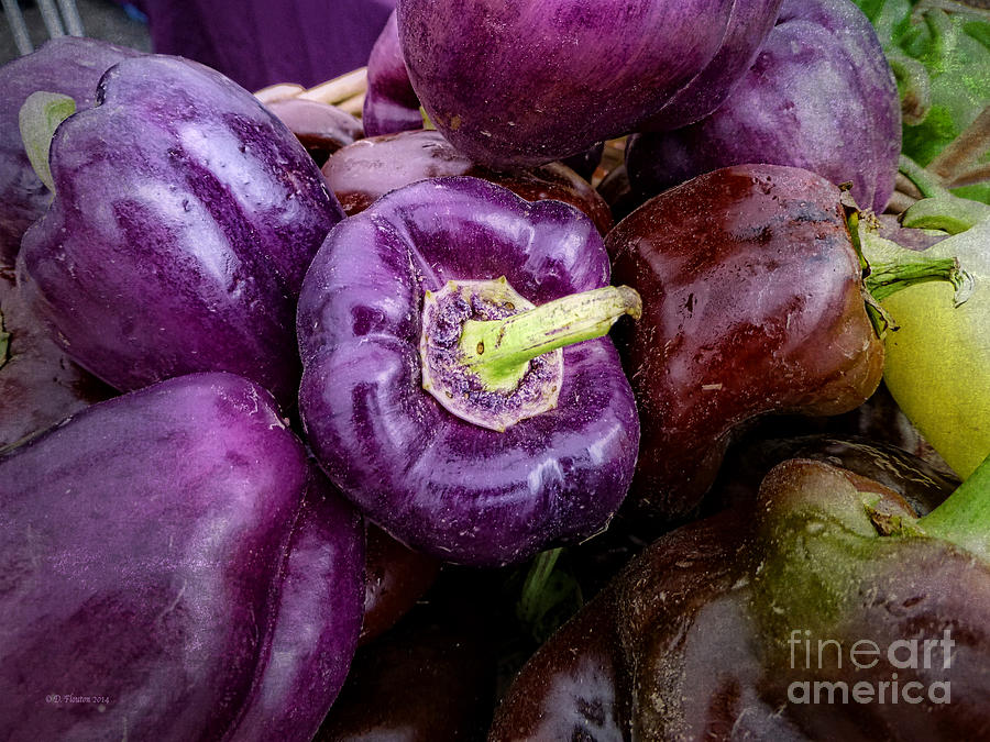 Purple Peppers Photograph by Dee Flouton