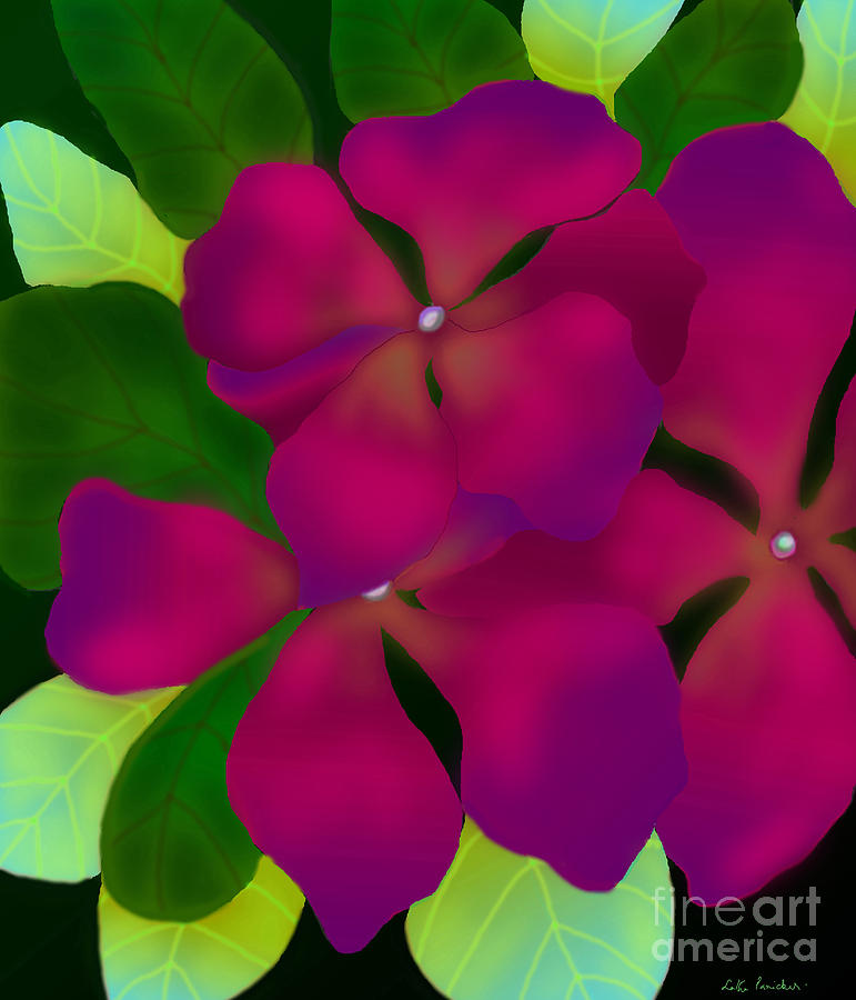 Purple Periwinkles Digital Art by Latha Gokuldas Panicker