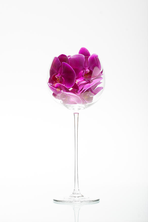 Nature Photograph - Purple Phalenopsis in a Glass 92 by W Chris Fooshee