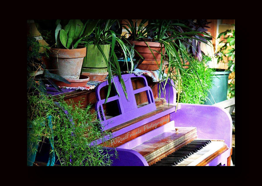 Purple Piano Tunes Photograph by PJQandFriends Photography