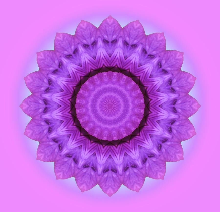 Purple Pink Kaleidoscope Photograph by MTBobbins Photography - Fine Art ...