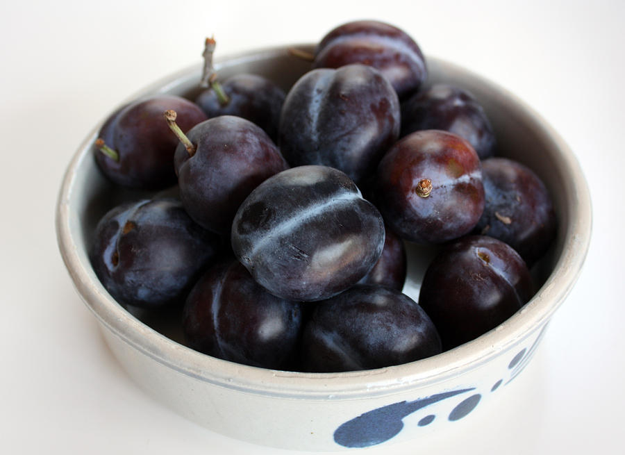 Purple Plums Photograph by Gerry Bates
