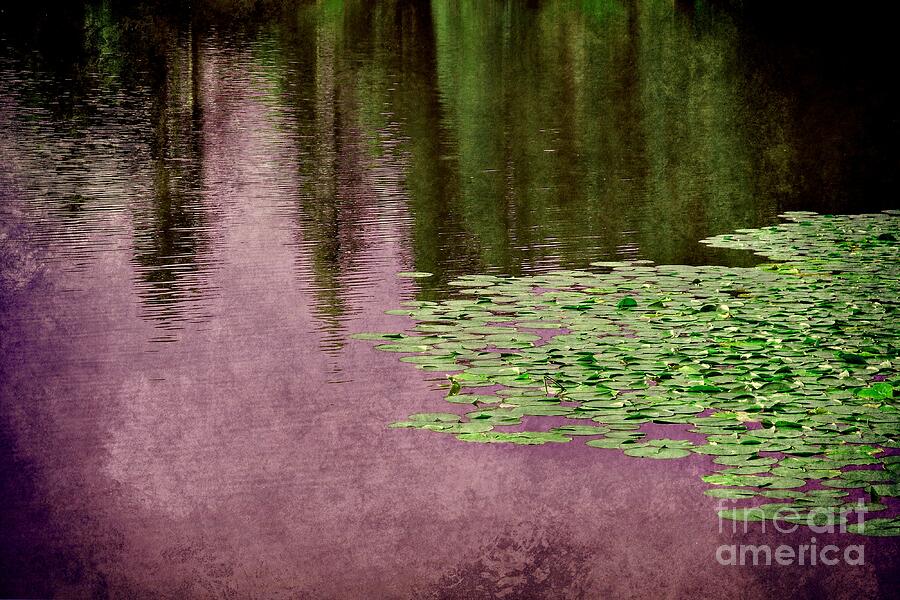Purple Pond Reflections Photograph by Patricia Strand