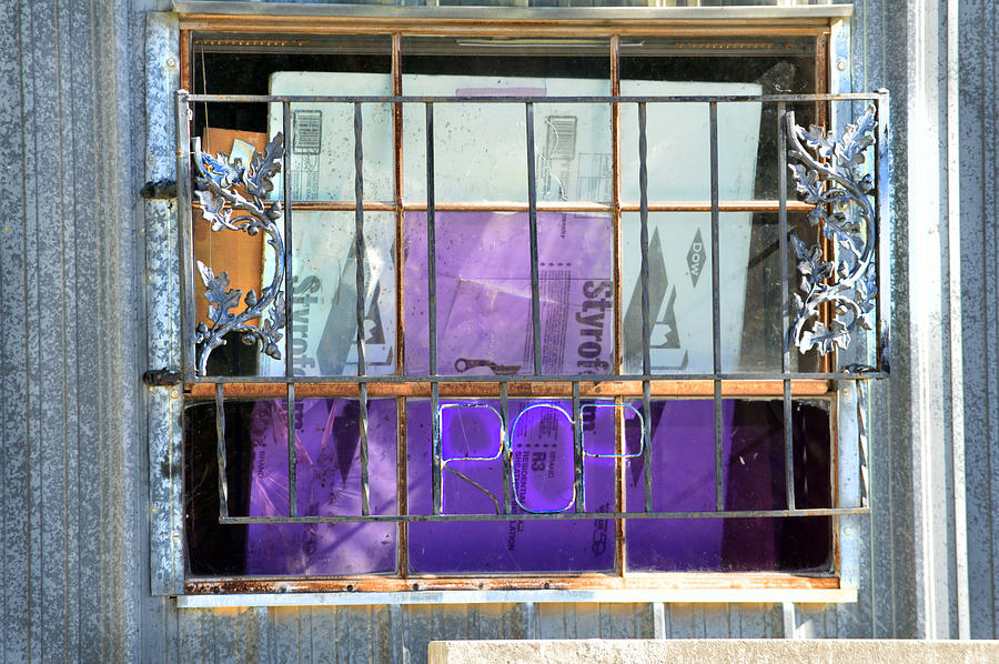 Purple POP Window Photograph by Lena Wilhite