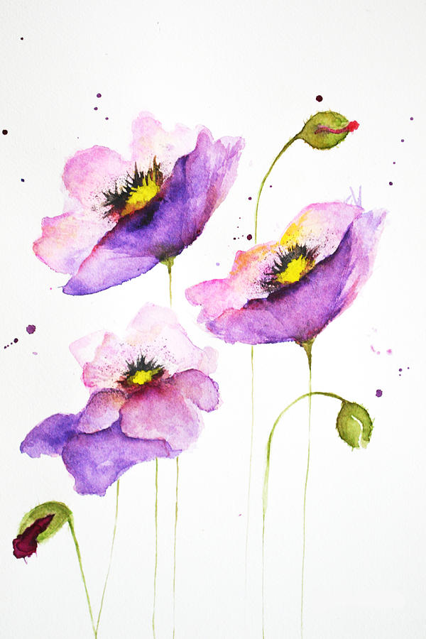 Purple poppies Painting by Kym Steel - Fine Art America
