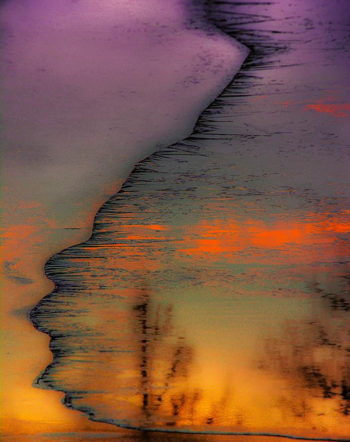 Purple Rain Photograph by Abbie Loyd Kern