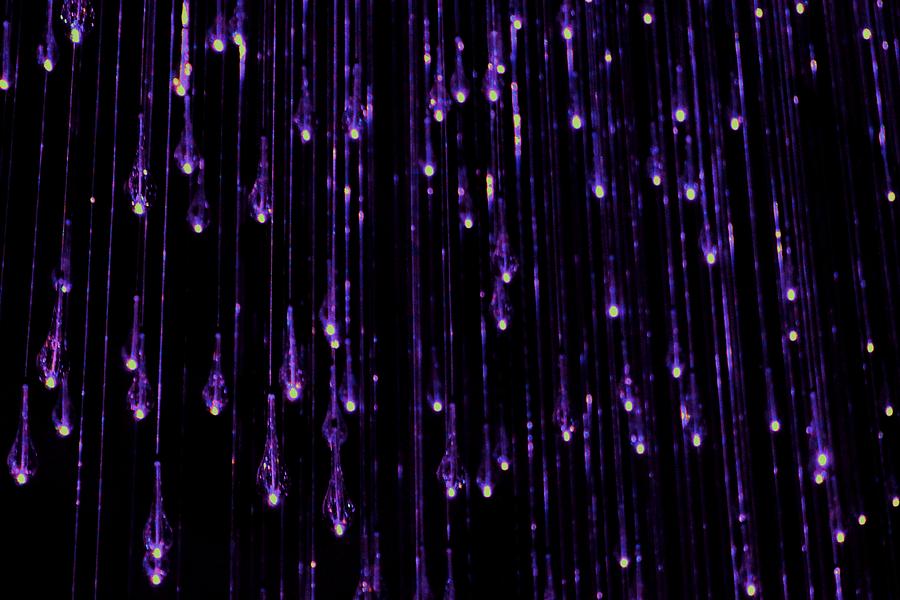 Cheekwood Botanical Gardens Photograph - Purple Rain by Alina Skye