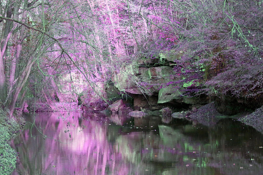 Purple Rock Reflection Photograph by Lorna Rose Marie Mills DBA  Lorna Rogers Photography