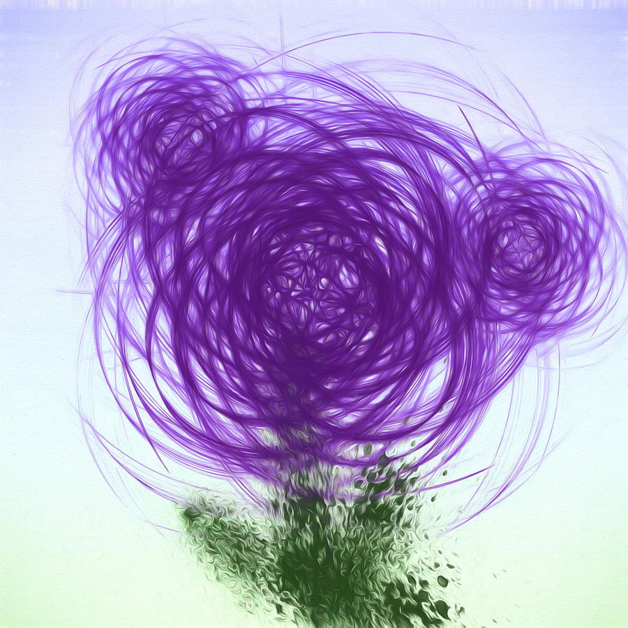 Purple Roses Digital Art by John Haldane