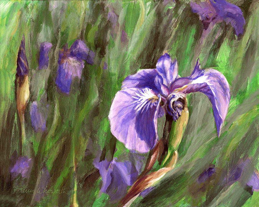 Purple Royalty Wild Iris Painting by K Whitworth