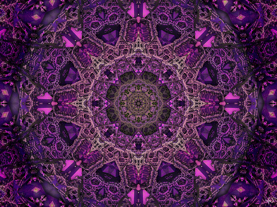 Purple Samsara Digital Art by Anthony Weinedel - Fine Art America