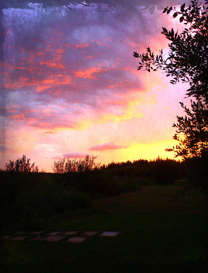 Sunset Photograph - Purple Skies by Larysa  Luciw