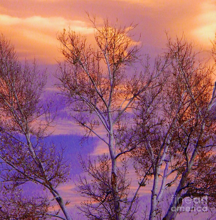 Purple skies of winter Digital Art by Michelle Frizzell-Thompson